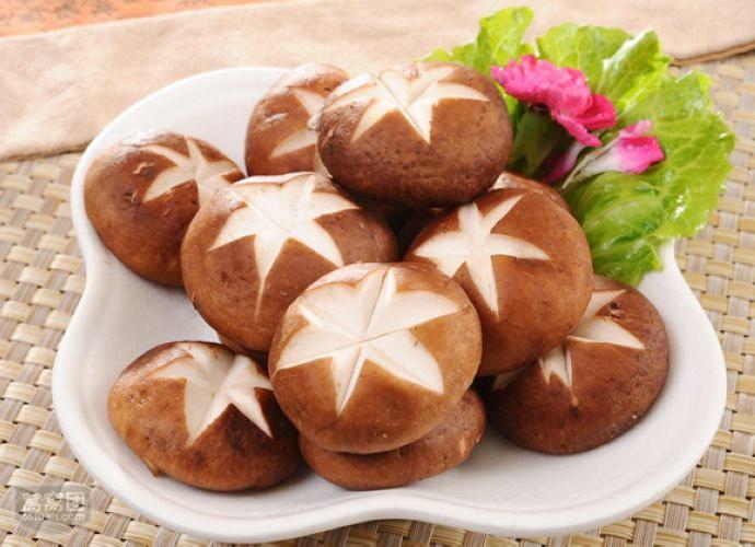 µÂÆËÖ®ÐÇ - dpzx.com