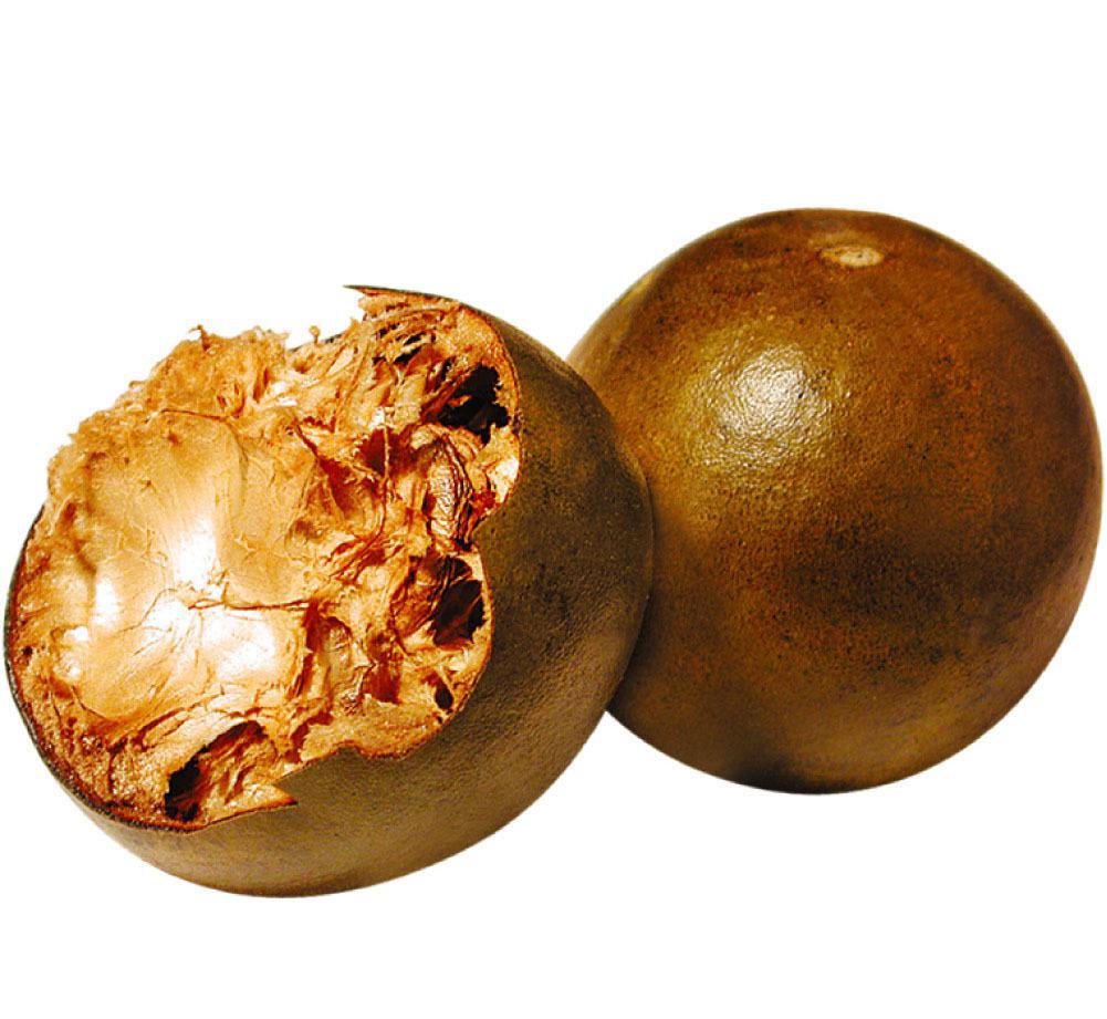 ����֮�� - dpzx.com