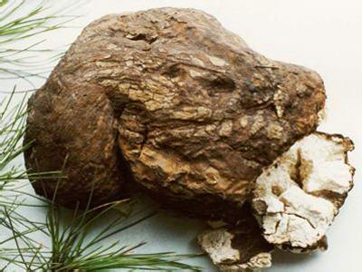 ����֮�� - dpzx.com